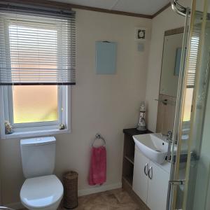 a bathroom with a toilet and a sink and a window at Trevella Lakeview Lodge in Newquay +9 photos