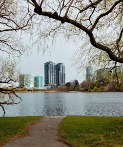 a view of a river with a city in the background at Full Downtown Access-Central Location-Self Checkin in Toronto
