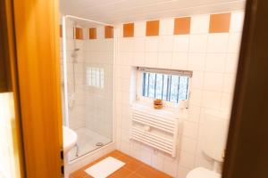 a bathroom with a shower and a toilet and a sink at Romantisches Berg-Chalet in Bayrischzell