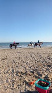 a group of people riding horses on the beach at Studio l'Oasis - Piscine, plage de La Baule 10 min in Guérande