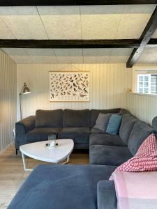 a living room with a couch and a table at Summer House With Wilderness Bath By Kårup Forest in Fårevejle +29 photos