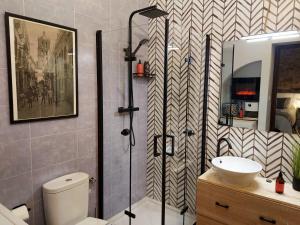 a bathroom with a shower and a toilet and a sink at La bóveda in Zafra +5 photos