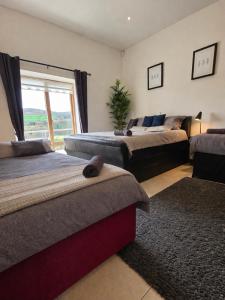 a bedroom with two beds and a window at Ballycrystal House Getaway in Bunclody