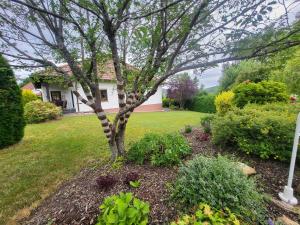 a tree in the yard of a house at Ferienhaus Am Sonnenhang in Zerf