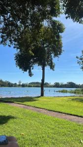 a tree in the grass next to a body of water at Rancho Vida Boa em Miguelopolis in Miguelópolis