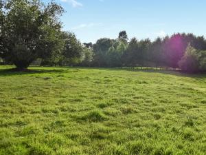 a field of grass with trees in the background at Cartlodge Loft in Roydon