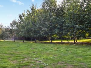 a field of grass with trees in a park at Cartlodge Loft in Roydon