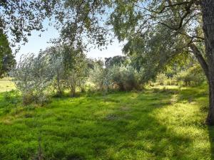 a grassy field with trees and bushes at Cartlodge Loft in Roydon +18 photos