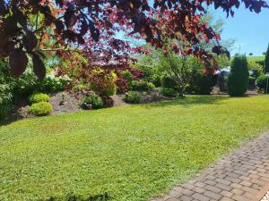a lawn with a brick walkway in a yard at Ferienhaus Am Sonnenhang in Zerf