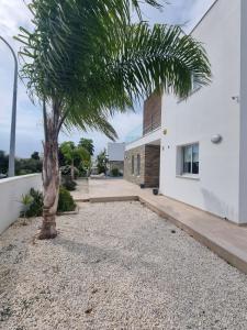 a palm tree in front of a white building at luxury villa utopia 2 in Paphos
