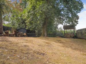 a yard with a tree and a wooden fence at The Lodge - Uk50409 in Bisterne