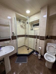 a bathroom with a shower and a toilet and a sink at Cozy Newly Renovated Apartment in Batumi Old Town in Batumi +16 photos