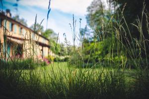 a field of tall grass with a house in the background at PranaVita, B&B Naturale in Pesaro +36 photos