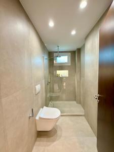 a bathroom with a toilet and a shower at Alexis Suites Olympus in Litochoro