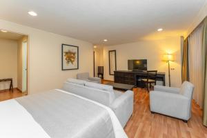 a hotel room with a bed and chairs and a television at Hotel Dann Av. 19 in Bogotá