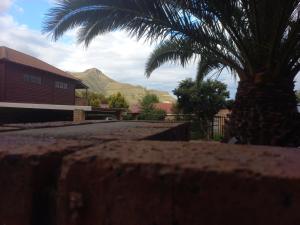a palm tree next to a building and a house at Forever Clarens in Clarens
