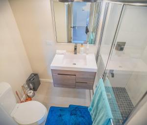 a bathroom with a sink and a toilet and a mirror at Executive 1BR Downtown POS with ensuite bath in Port-of-Spain