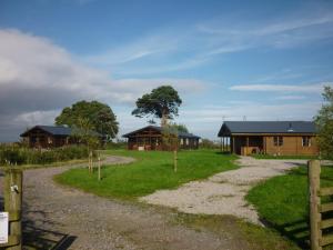 a dirt road leading to two wooden cabins at Curlew Lodge in Dumfries