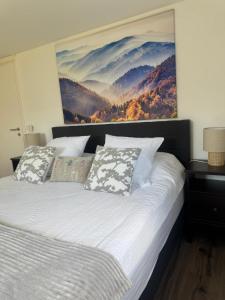 a bed with two pillows and a painting on the wall at Chez Leny in Monthey