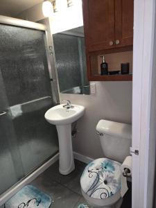 a bathroom with a shower and a sink and a toilet at Convenient Downtown Apartment in Saint Louis