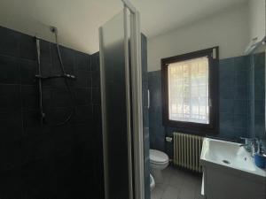 a bathroom with a shower and a toilet and a sink at Sarnico Terrazza sul lago di Iseo in Sarnico +3 photos