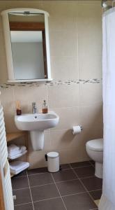 a bathroom with a sink and a toilet and a mirror at Three Hares Farmhouse, Galway in Craughwell +15 photos
