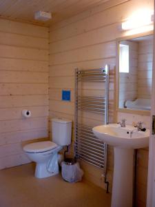 a bathroom with a toilet and a sink at Lapwing Lodge in Dumfries
