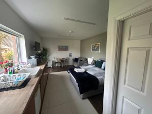 a kitchen and living room with a bed and a sink at Appletree Cottage in Waterford