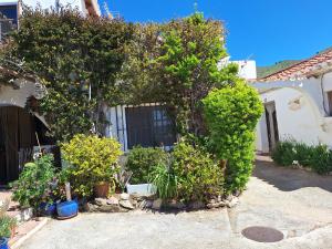 a house with trees and plants in a yard at Casita Tomate in Granada +3 photos