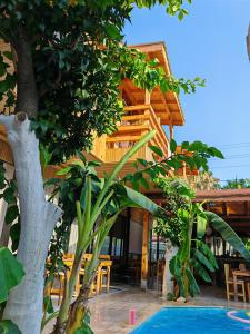 Blick auf ein Ferienresort mit einem Baum in der Unterkunft Ünal Boutique Hotel in Kemer