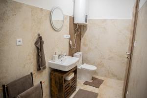 a bathroom with a sink and a toilet and a mirror at La Palma Gúta in Kolárovo +22 photos