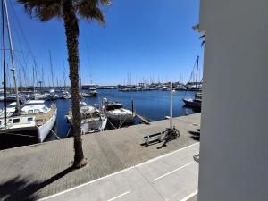 a marina with boats in the water and a palm tree at studio cabine tous cocooning in Gruissan