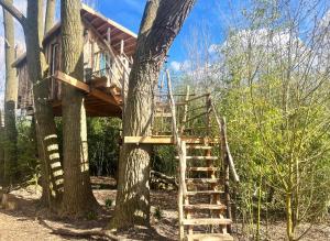 a tree house with a ladder up to a tree at Bamboo Lodge Groningen in Groningen