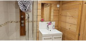 a bathroom with a sink and a shower at Chez Jo et Mel - Gite et Yourtes in Bannost +32 photos