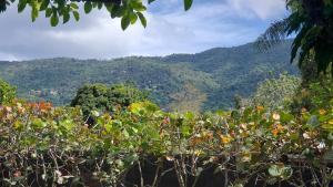 a view of the mountains from a tree at Villa Rosalía con Piscina Climatizada in Jarabacoa