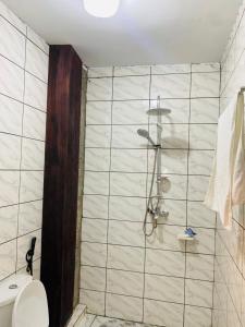 a bathroom with a shower with a toilet in it at KMC Guest House in Douala +8 photos