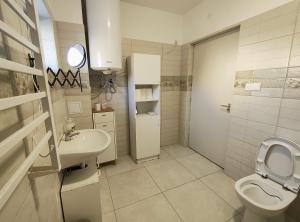 a bathroom with a toilet and a sink at Csengi Apartman in Balatonszárszó +44 photos