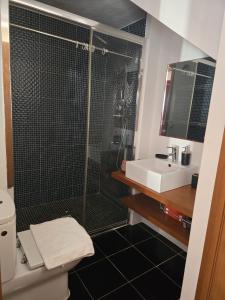 a bathroom with a shower and a toilet and a sink at Casa Pedra da Foz in Odeceixe +7 photos