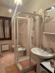 a bathroom with a shower and a sink at La Petite Maison Rieti in Rieti