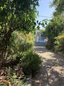 a garden with plants and trees and a pathway at Lo Componaïro in Pouzols