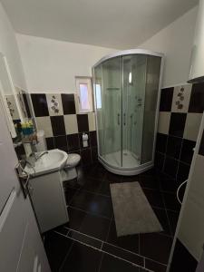a bathroom with a shower and a toilet and a sink at Luci's House in Jucu de Mijloc