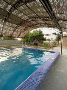 a large swimming pool under a metal roof at Shirin Ethno House Yurt Camp in Shirin