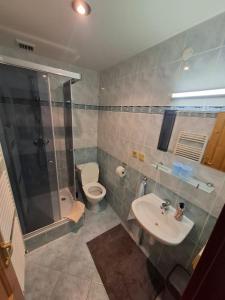 a bathroom with a shower and a toilet and a sink at Penzion Ranch FAH in Spišské Podhradie +49 photos