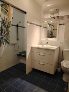 a bathroom with a sink and a shower and a toilet at Studio Hyeres sur le port in Hyères