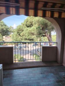 a view of a tree from a balcony at Studio Hyeres sur le port in Hyères +2 photos