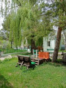a picnic table and chairs under a tree at NR Rest House in Tsaghkadzor