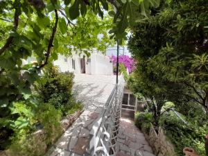 a walkway with a white fence and plants at Apartmani Mare Palada in Marina