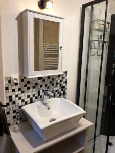 a bathroom with a white sink and a shower at Le colibri des prés in Maurens +13 photos
