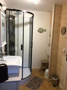 a bathroom with a shower and a sink at Le colibri des prés in Maurens