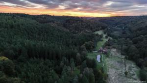 an aerial view of a forest with a house at Maison d'hôtes La Paulusmühle Ancien moulin en pleine nature in Soucht